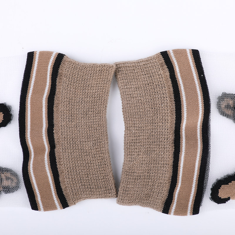 Fashion pellucidum nylon bombacio serici fundo feminarum tibialia pardus exemplar floris serici pellucidalis feminarum tibialia crystalli serici feminarum tibialia WSD1939
